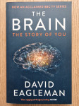 David Eagleman - The Brain