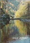 Divje jezero / [Ivan Mlakar ... [et al.]