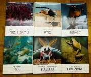 ILUSTRIRANA ENCIKLOPEDIJA ŽIVALI