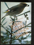 Iztok Geister:  PTICE OKOLI NAŠEGA DOMA _029