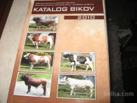 katalog bikov