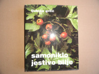 LJUBIŠA GRLIĆ, SAMONIKLO JESTIVO BILJE