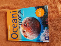 Oceani
