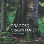 Pragozd : pranarava Kočevske = Virgin forest : Kočevje primeval nature
