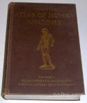 WOERDEMAN ATLAS OF HUMAN ANATOMY – M.W.Woerdeman, Volume II.