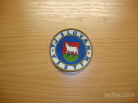 TJ SLOVAN VSETIN našitek