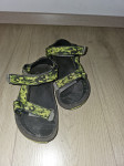 Teva št. 29