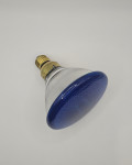 Philips Comptalux Flood PAR38 100W modra reflektorska žarnica vintage