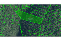 Boršt - gozdno zemljišče, 5327m2