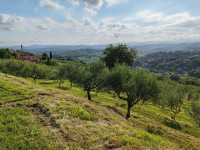 Bošamarin 32, 2748 m2