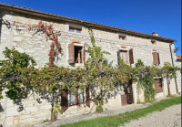 Brtonigla 160m2