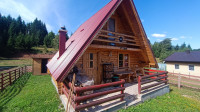 Brunarica Orfej Ravna Planina Jahorina