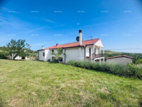 Buje – Samostoječa hiša z oljčnikom in gradbenim zemljiščem