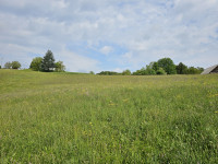 kmetijsko zemljišče Ceste, 19000 m2, 3250 Rogaška Slatima