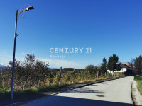 Destrnik, Vintarovci