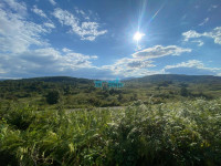 Dubrave, Slunj, 210.000m2