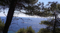 Dubrovnik, Zaton Mali - Ekskluzivno gradbeno zemljišče s panoramskim p