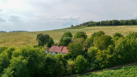 Gornja Radgona, Hercegovščak