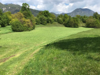 Hraše, 13325 m2