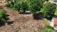 Istra, Baderna, gradbeno zemljišče, 2.066 m2, nujno prodam