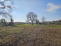 Istra, Novigrad - zazidljivo zemljišče 650m2