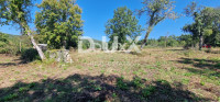 Istra, Oprtalj, gradbeno zemljišče, 1.042 m2, z ruševinami
