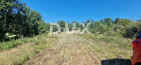 Istra, Oprtalj, gradbeno zemljišče, 1.662 m2