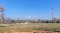 Istra, Umag, okolica - gradbeno zemljišče 4000m2, primerno za gradnjo