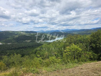 Kašćerga 3.500m2