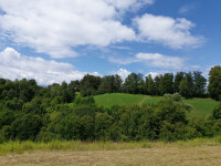 Kmetijsko zemljišče - Plintovec, 16.603 m2