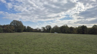 Kmetijsko zemljišče Pusti, Svetvinčenat, 8.182m2