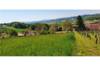 Kmetijsko zemljišče- travnik