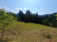 Kmetijsko zemljiše, 10233m2 ob asfaltni cesti Slovenj Gradec-Velenje,