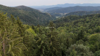 Ljubljana, Topol pri Medvodah