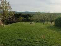 Lokacija hiše: Bilje, 200.00 m2