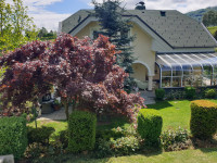 Lokacija hiše: Pekre, 227.00 m2, lastni park