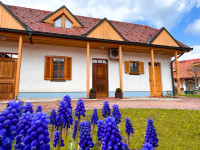 Lokacija stanovanja: Moravske Toplice, 45.00 m2