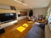 Lokacija stanovanja: Šentanel, 104.00 m2