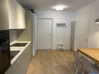 Lokacija stanovanja: Šmartno, 55.00 m2