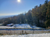 Hoce, 11.000 m2, kmetijsko zemljišče, Zemljišče na obrobju Maribora