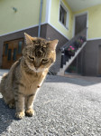 Maribor
