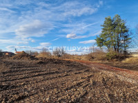 Miklavž na Dravskem polju, Miklavž na Dravskem Polju