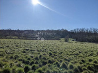 ODLIČNO ZEMLJIŠČE V MESTNEM CENTRU, 1652 m2