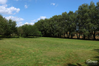 Orehova vas, 954 m2