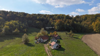 Pesnica, Vukovje