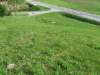 PESNICA - VUKOVSKI DOL: PRODAMO ZAZIDLJIVI ZEMLJIŠČI V IZMERI 832M2...