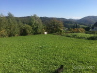 Posest, Osrednjeslovenska, Grosuplje, Gorenja vas pri Polici, zazid...