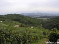 Objekt - zidanica z vinogradom, kmetijsko zemljišče