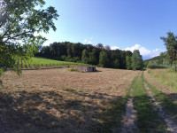 Posestvo z več kot dvema hektarjema zemlje prodamo na Kogu