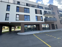 prodaja, poslovni prostor večnamemben, Podravska Starše Starše